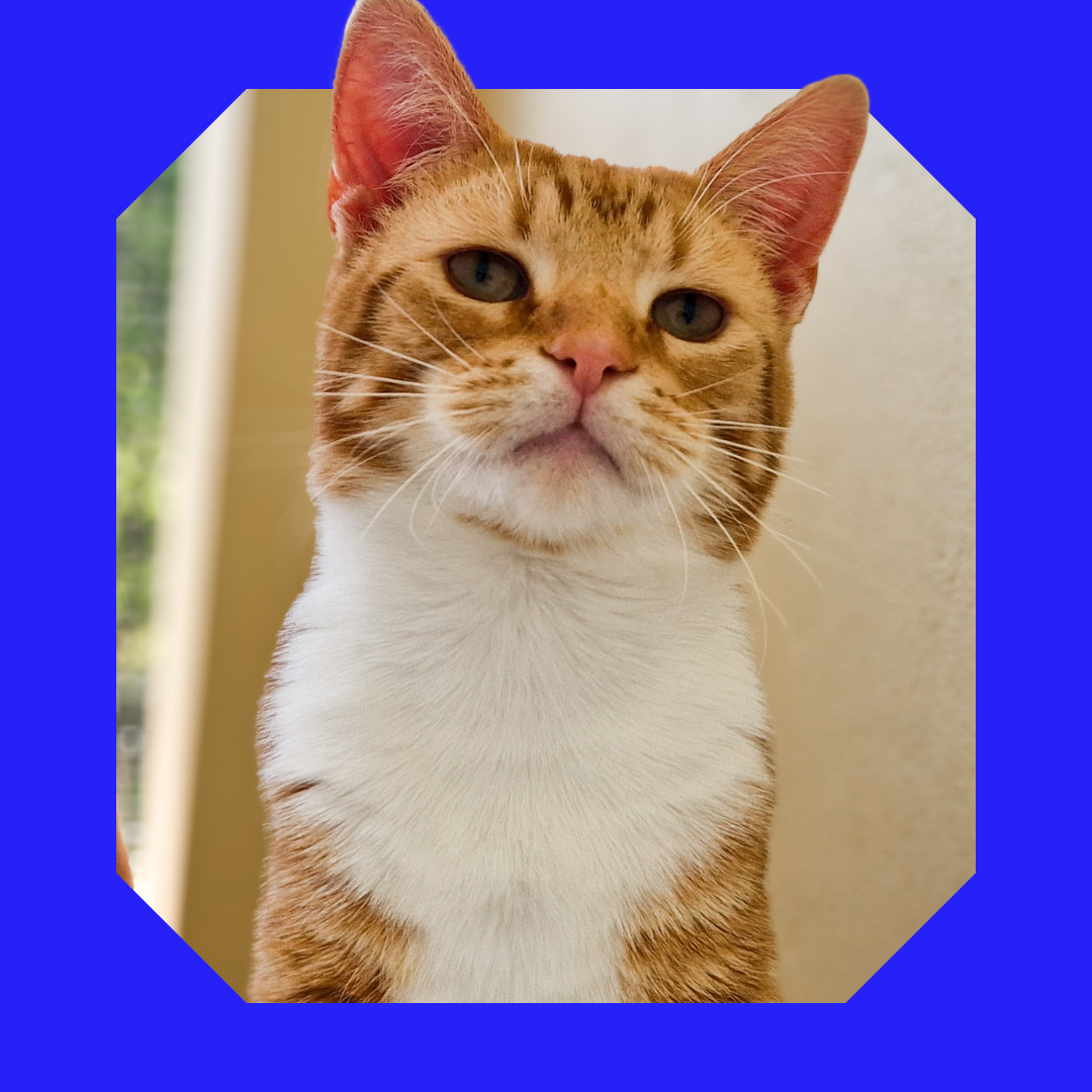 food and water food and water